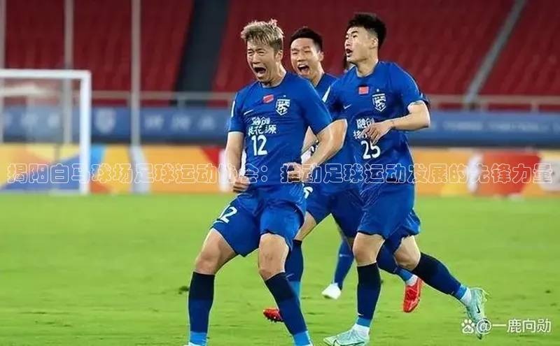 恒行在线官网登录入口百度集团揭阳白马球场足球运动协会：推动足球运动发展的先锋力量