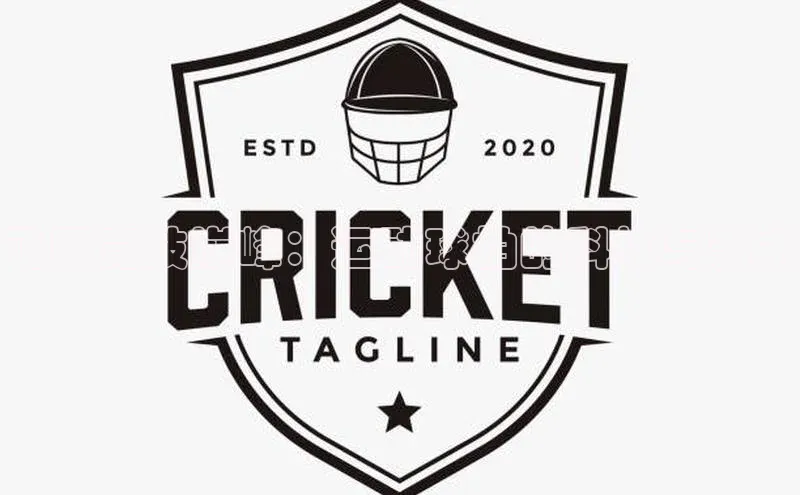 恒行6注册官网入口诸葛科技飞跃竞技巅峰：运动球拍的科技与艺术