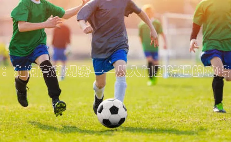 ：如何高效观赛——从入门到精通的攻略