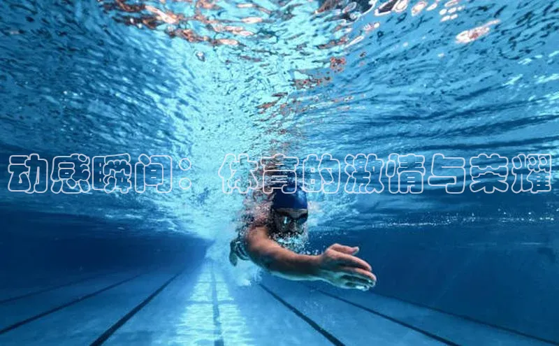 动感瞬间：体育的激情与荣耀