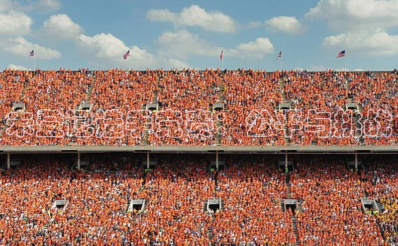 未登记选手竞赛：公平与挑战