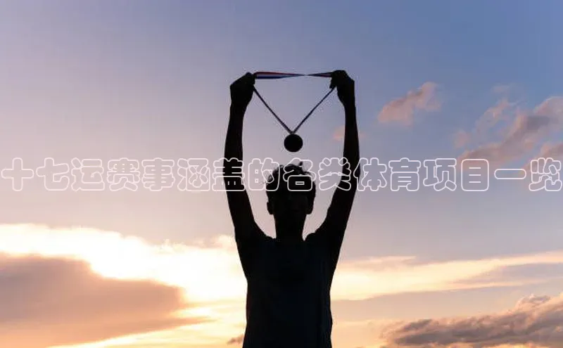 十七运赛事涵盖的各类体育项目一览